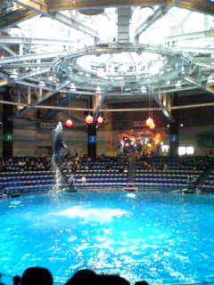 水族館 水族館