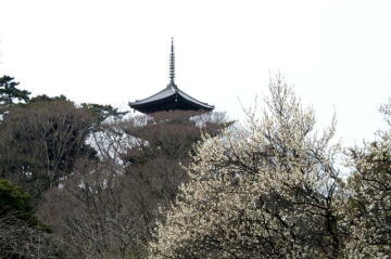 三渓園