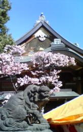 湯島天神 湯島天神